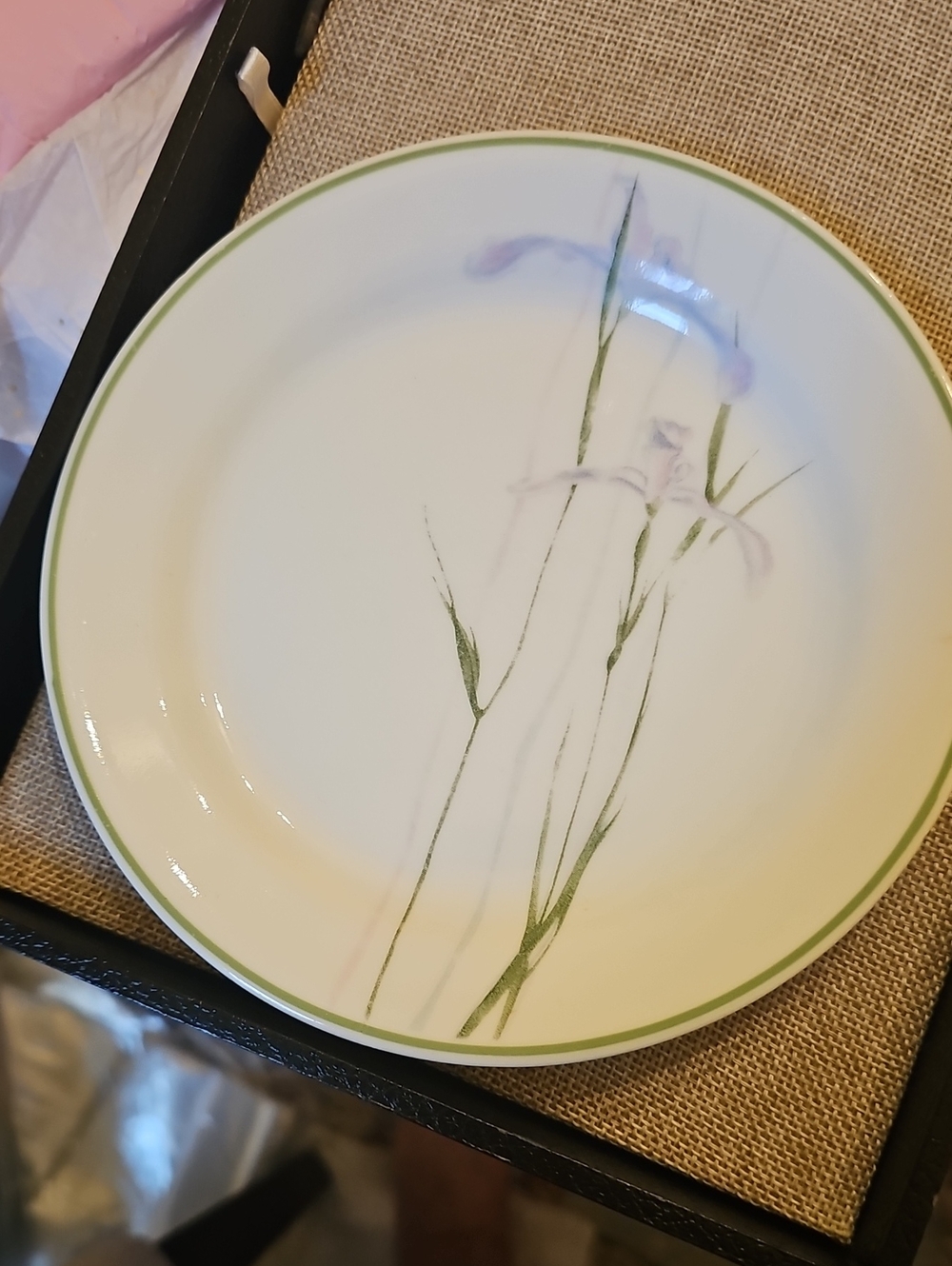 Corelle White Dinner Plate with Green Rim and Floral Sprig